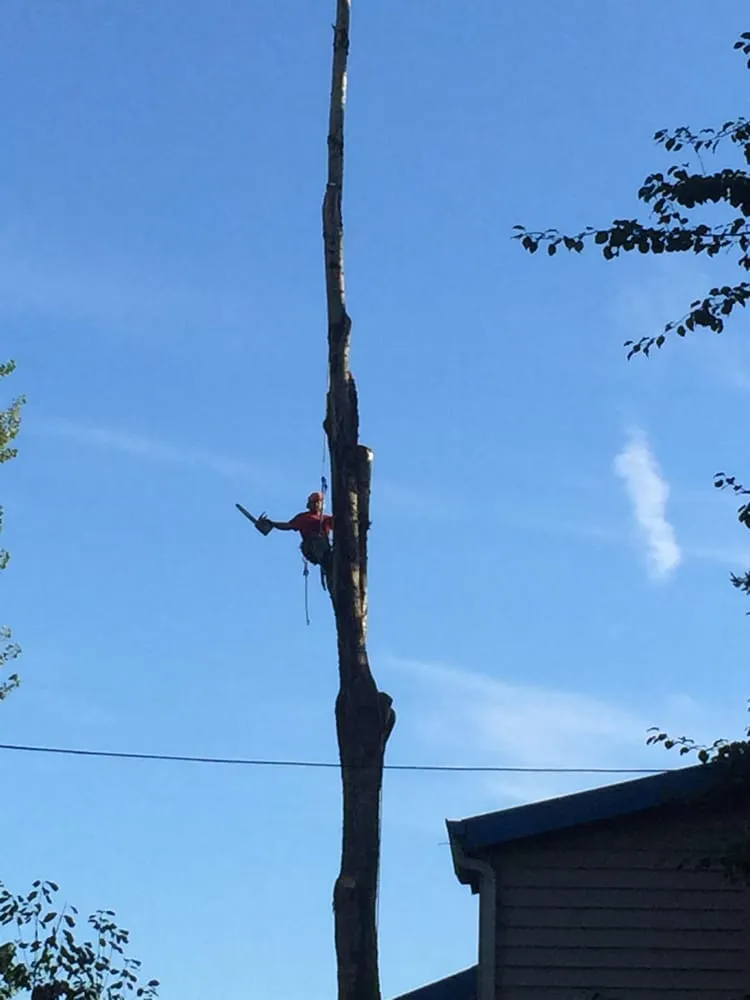 Top-rated garden landscaping for residential properties in Happy Valley, OR by Arbor Now