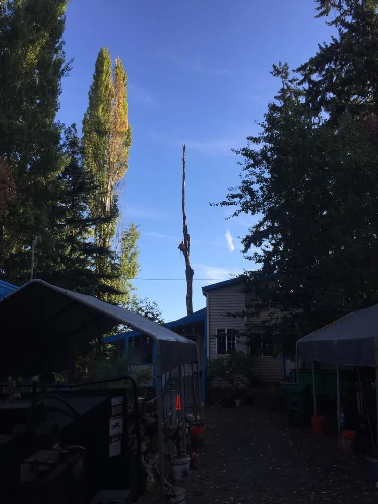 Top-rated lawn care service in Happy Valley, OR by Arbor Now