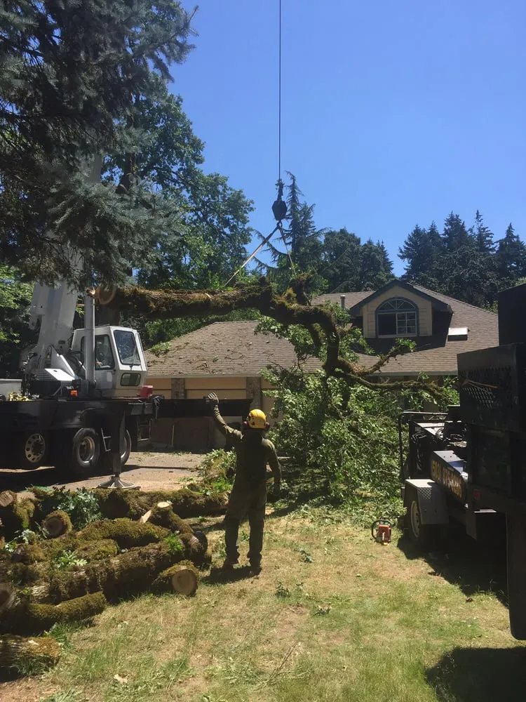 Professional landscaping services experts serving Happy Valley, OR - Arbor Now