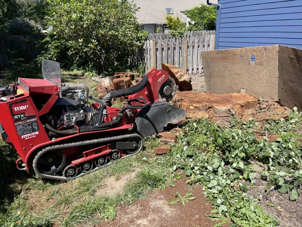 Affordable lawn mowing service in Happy Valley, OR - Arbor Now
