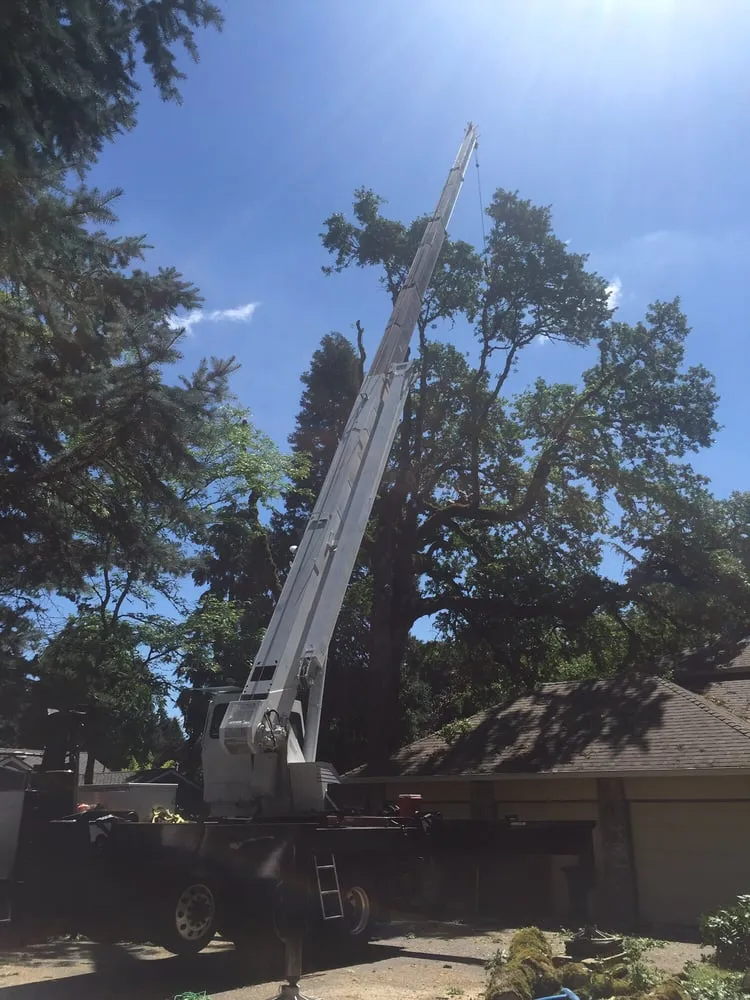 Top-rated lawn mowing service for outdoor upgrades across Happy Valley, OR - Arbor Now