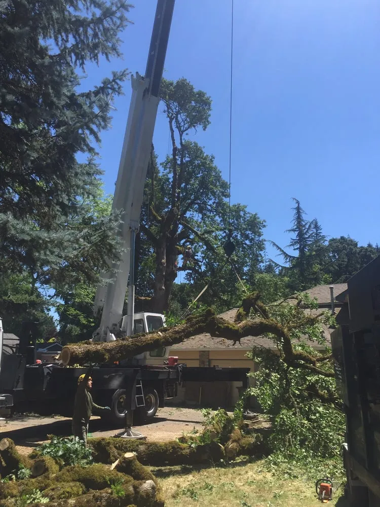 Local garden landscaping experts serving Happy Valley, OR - Arbor Now