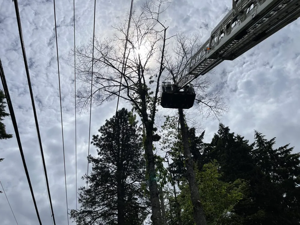 Custom residential landscaping in Happy Valley, OR by Arbor Now