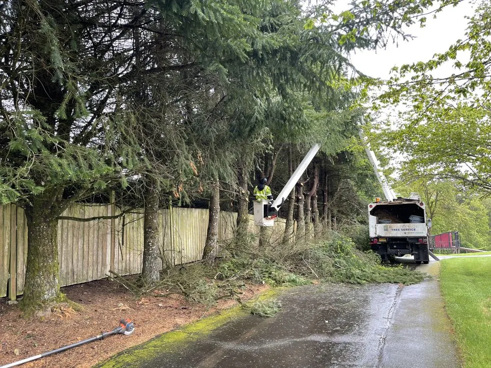 Professional landscape design for residential properties in Happy Valley, OR by Arbor Now