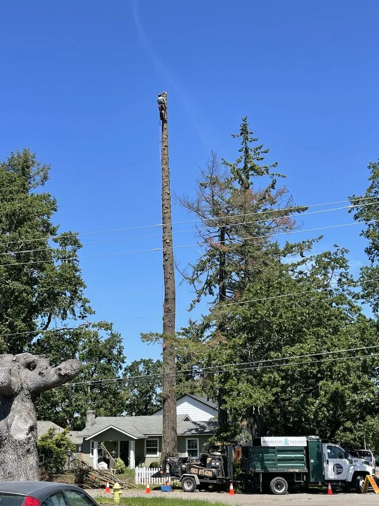 Top-rated garden landscaping in Happy Valley, OR by Arbor Now