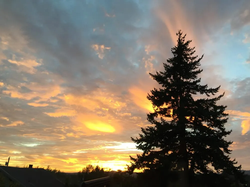 Custom landscape installation in Happy Valley, OR by Arbor Now