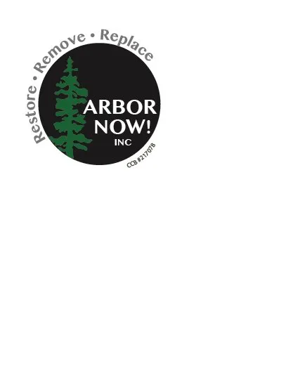 Custom lawn care service for residential properties across Happy Valley, OR - Arbor Now