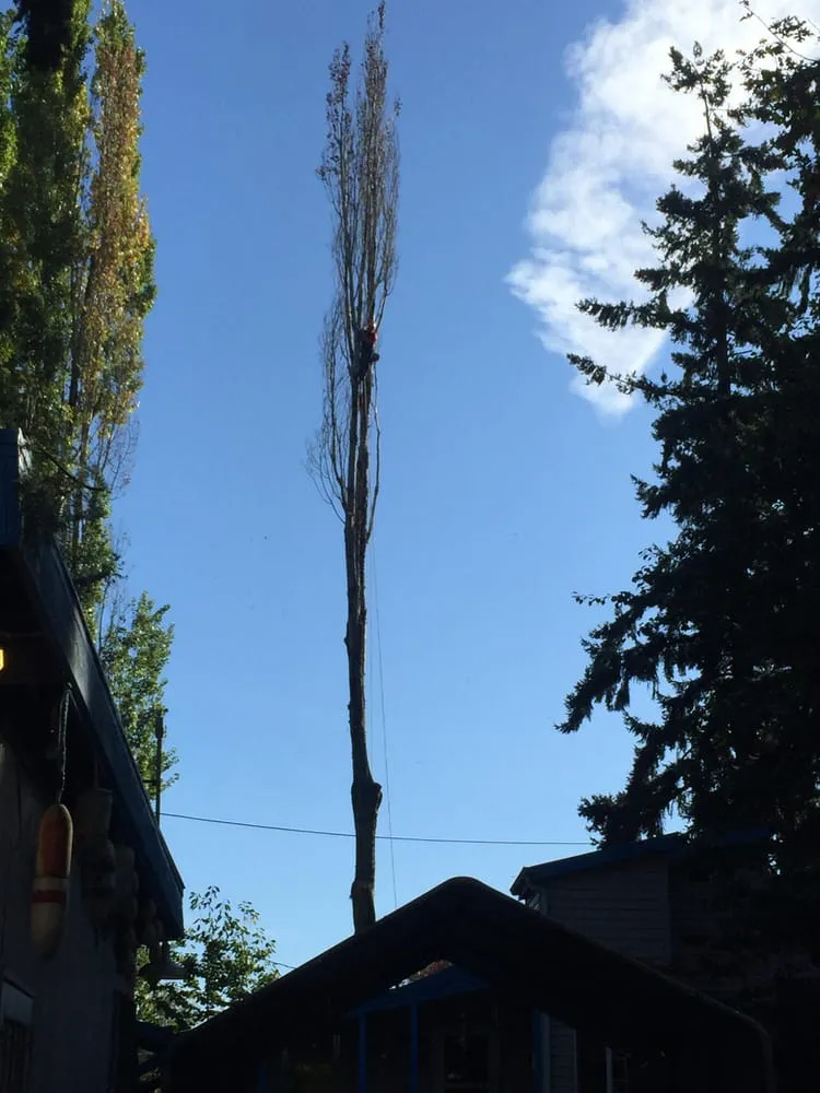 Expert residential landscaping in Happy Valley, OR - Arbor Now