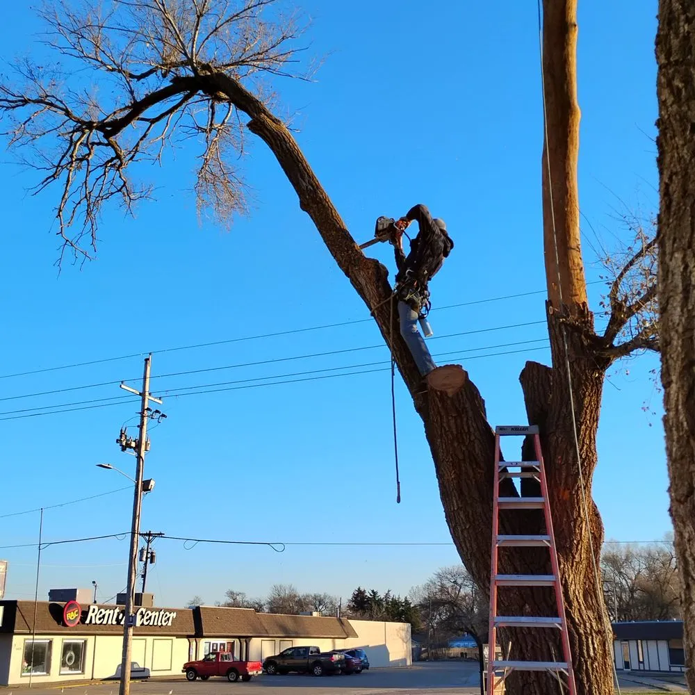 Affordable garden landscaping for residential properties in Salina, KS by Arbor One Tree Management & Landscape