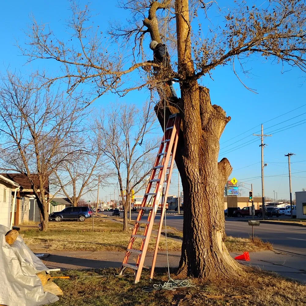 Trusted outdoor landscaping experts serving Salina, KS - Arbor One Tree Management & Landscape