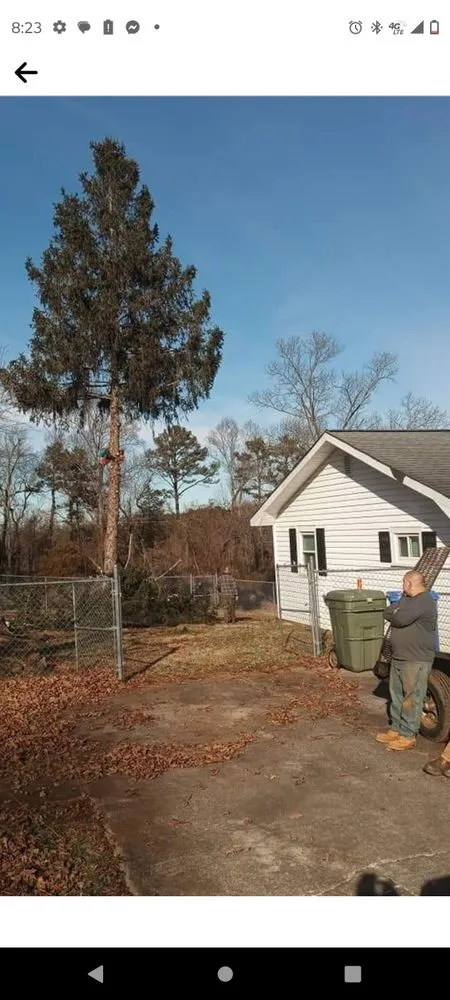 Reliable lawn care service experts serving Bessemer City, NC - Arbor Pro