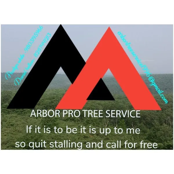 Professional yard cleanup service experts serving Bessemer City, NC - Arbor Pro