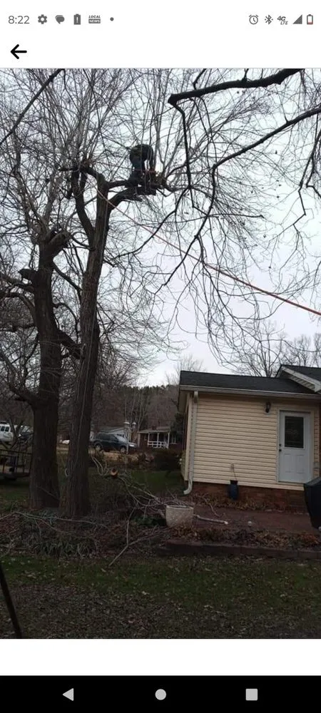 Affordable landscape installation in Bessemer City, NC - Arbor Pro