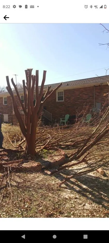 Professional outdoor landscaping experts serving Bessemer City, NC - Arbor Pro