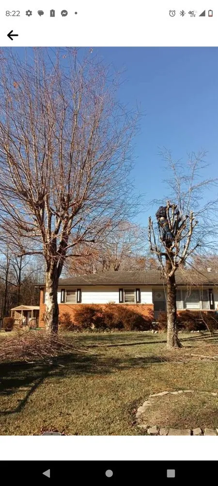 Custom yard maintenance experts serving Bessemer City, NC - Arbor Pro