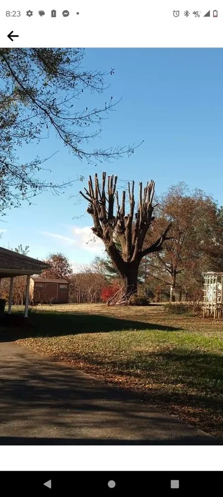 Top-rated yard cleanup service for outdoor upgrades in Bessemer City, NC by Arbor Pro