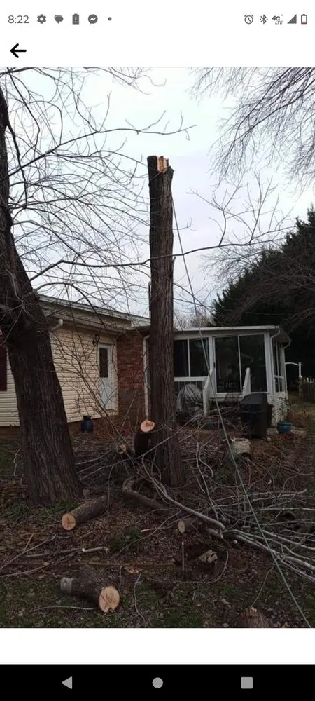 Reliable landscape installation with custom design in Bessemer City, NC by Arbor Pro