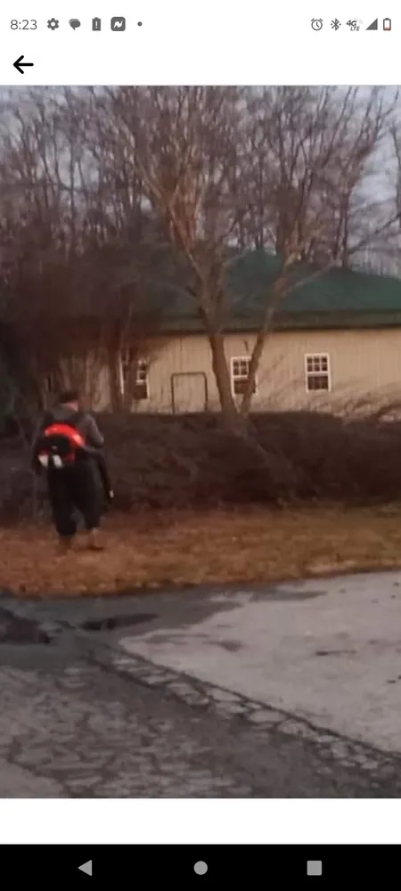 Professional landscaping services experts serving Bessemer City, NC - Arbor Pro