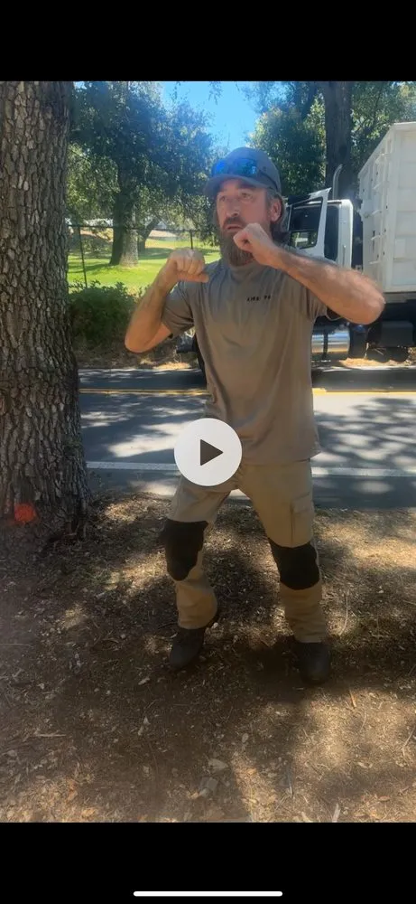 Reliable yard cleanup service in Martinez, CA - Arbor Pro