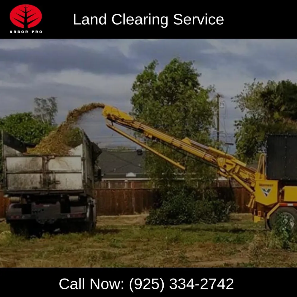 Top-rated residential landscaping experts serving Martinez, CA - Arbor Pro