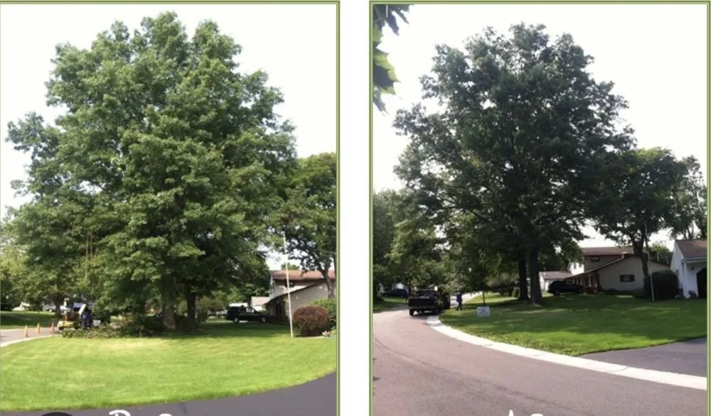 Expert landscaping services in Mondamin, IA - Arbor-Pro