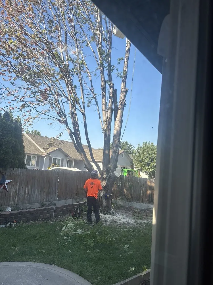 Affordable residential landscaping in Nampa, ID by Arbor Safe Tree Service