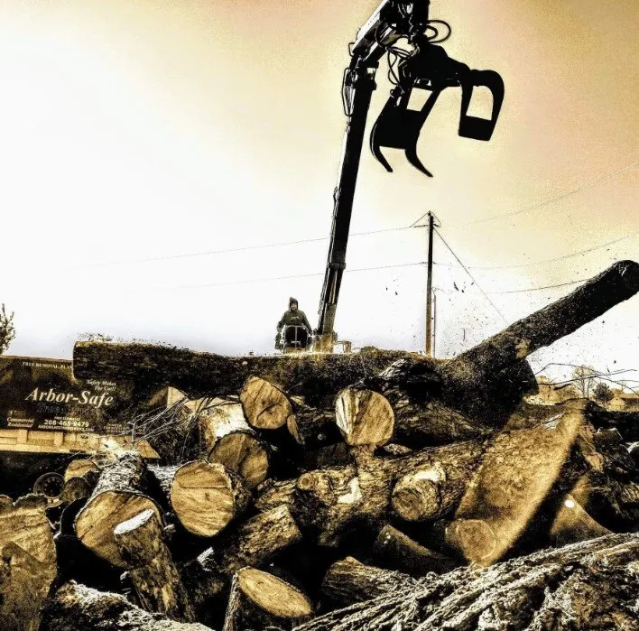 Top-rated yard cleanup service in Nampa, ID - Arbor Safe Tree Service