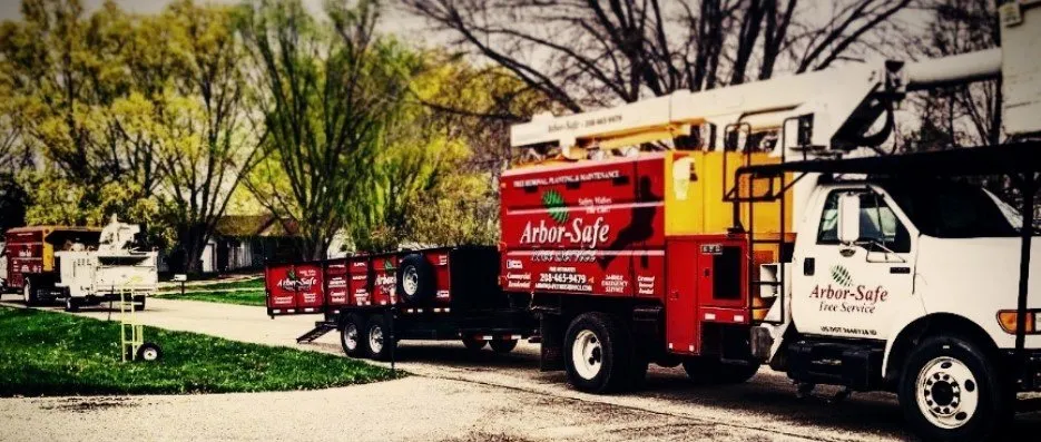 Trusted yard maintenance for year-round maintenance in Nampa, ID by Arbor Safe Tree Service
