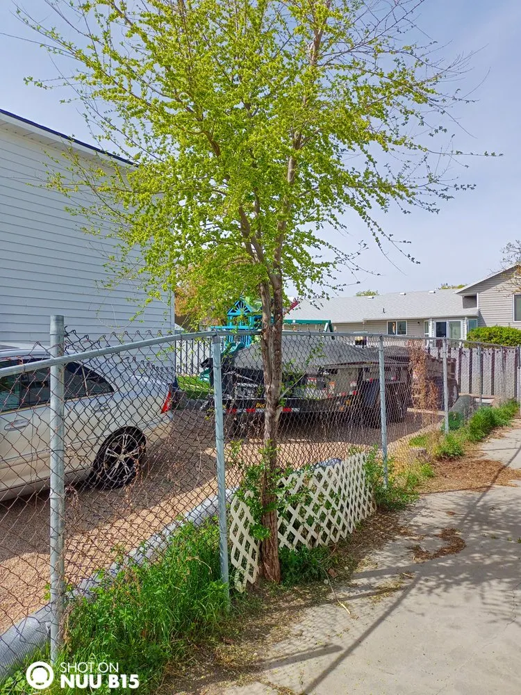 Local residential landscaping experts serving West Valley City, UT - Arbor Services