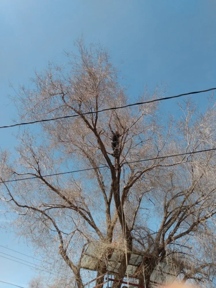 Local residential landscaping near you across West Valley City, UT - Arbor Services