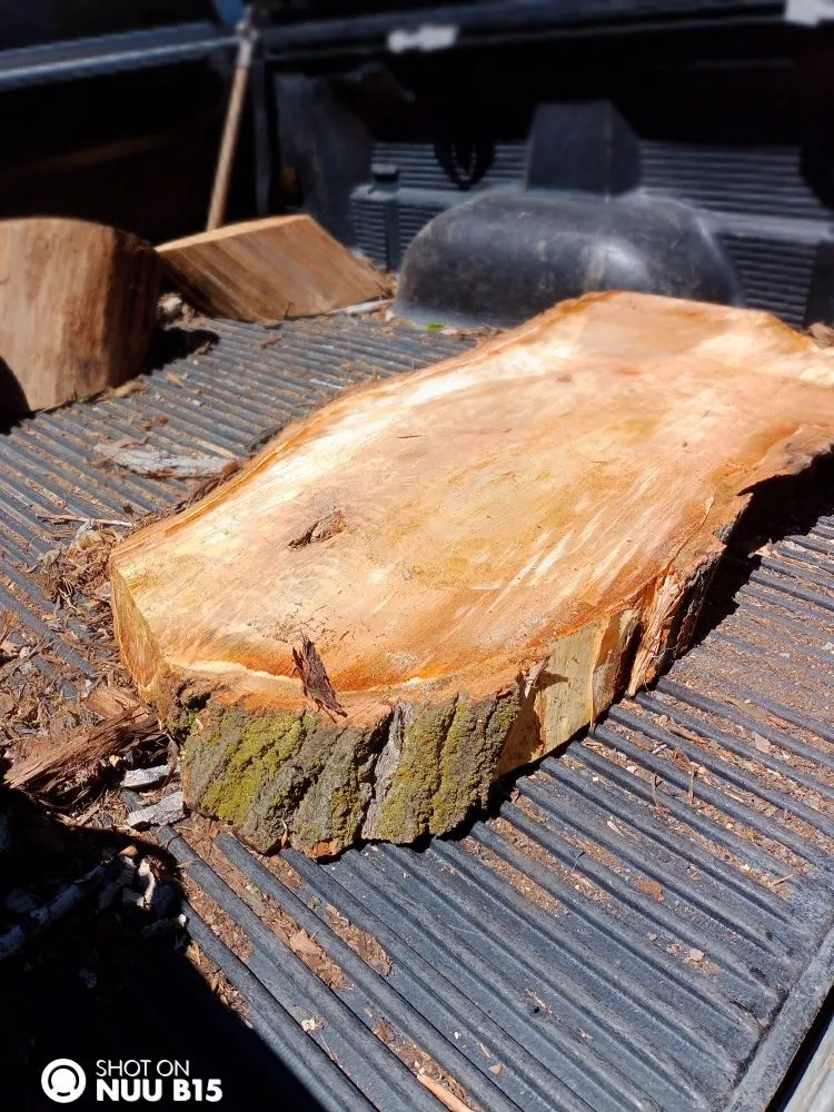 Expert lawn mowing service experts serving West Valley City, UT - Arbor Services