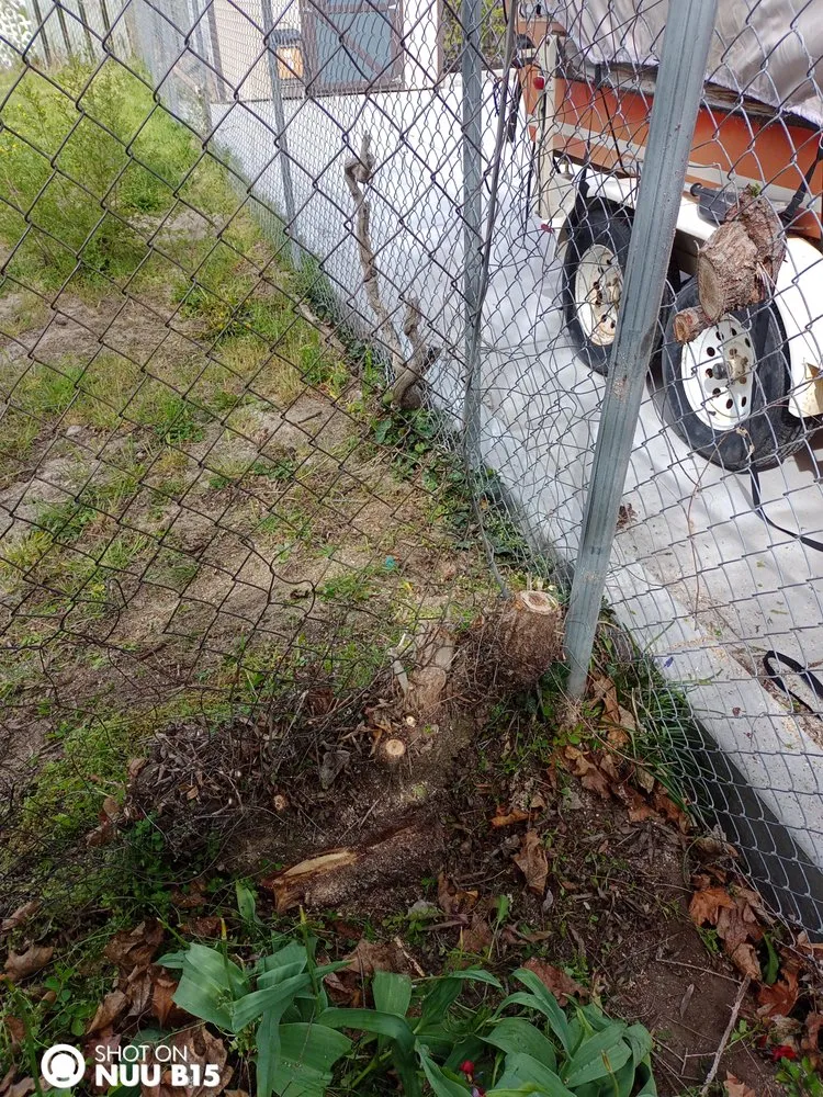 Affordable landscape installation in West Valley City, UT - Arbor Services