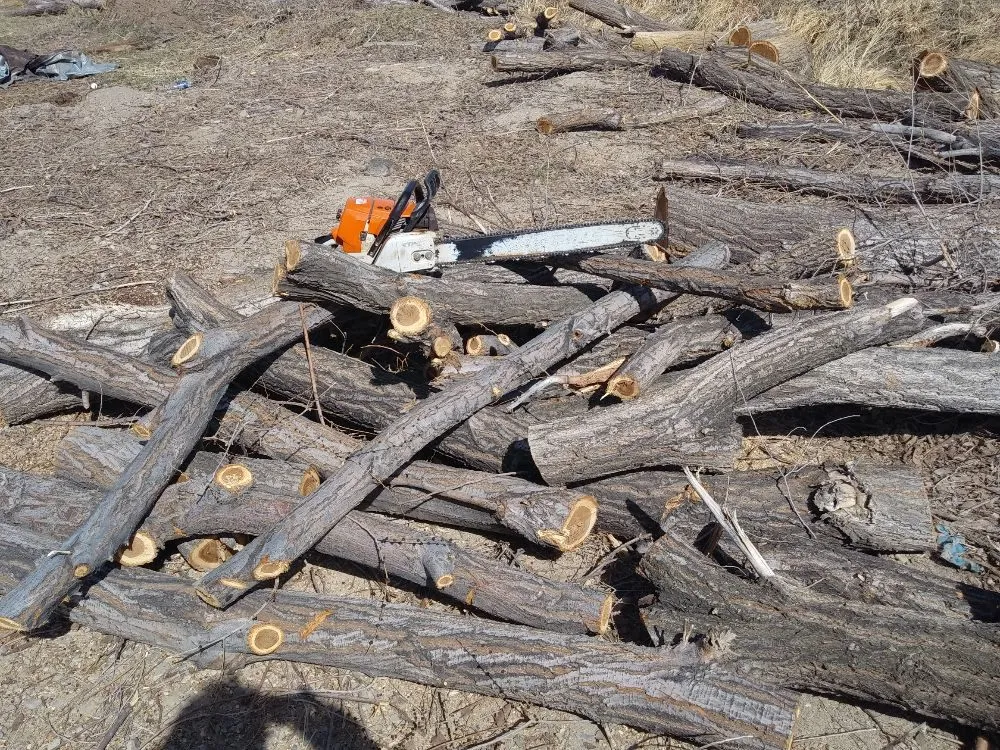 Custom yard maintenance experts serving West Valley City, UT - Arbor Services