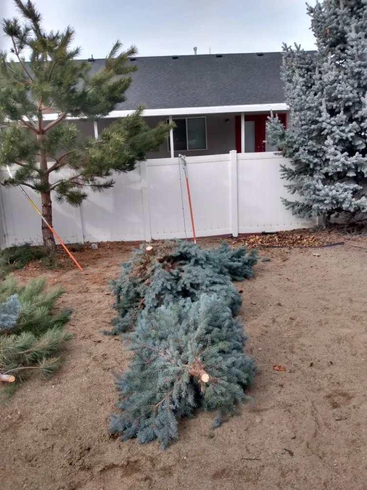 Expert residential landscaping experts serving West Valley City, UT - Arbor Services