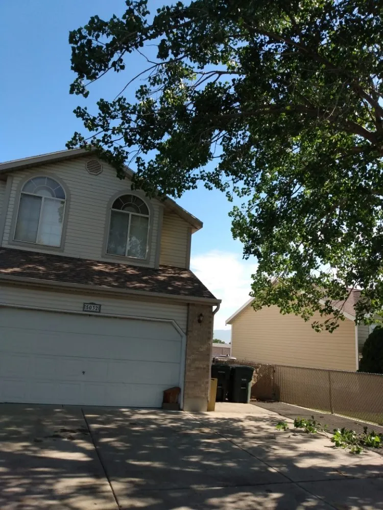 Reliable lawn care service experts serving West Valley City, UT - Arbor Services