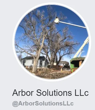 Expert outdoor landscaping for year-round maintenance across Cheyenne, WY - Arbor Solutions