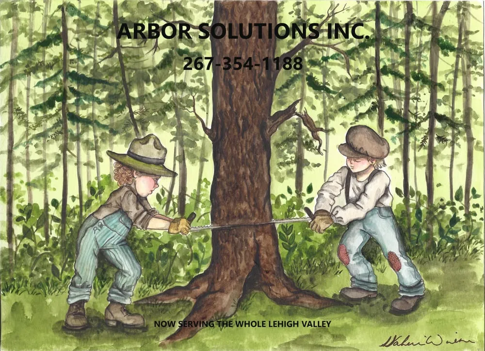 Reliable lawn mowing service experts serving Bethlehem, PA - Arbor Solutions Inc