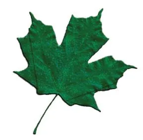 Arbor Springs Lawn Care and Landscaping Company Logo