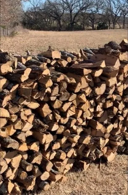 Top-rated yard cleanup service in Azle, TX by Arbor Tech By TRO