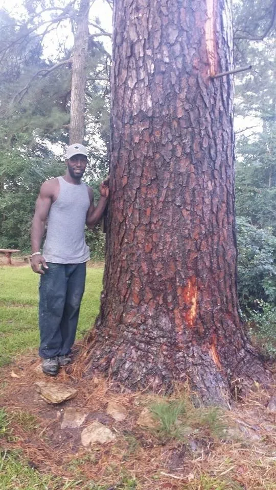 Local landscape installation in San Leon, TX - Arbor-Tech Consulting