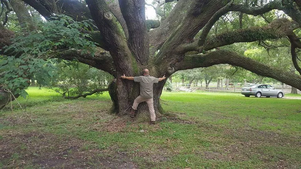 Trusted residential landscaping in San Leon, TX - Arbor-Tech Consulting