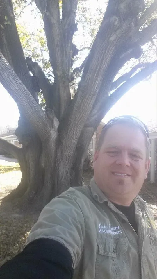 Trusted lawn care service experts serving San Leon, TX - Arbor-Tech Consulting