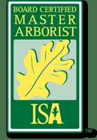 Reliable outdoor landscaping in San Leon, TX - Arbor-Tech Consulting