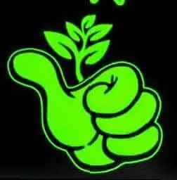 Trusted landscaping services for year-round maintenance across Mesa, AZ - Arbor Tech RX