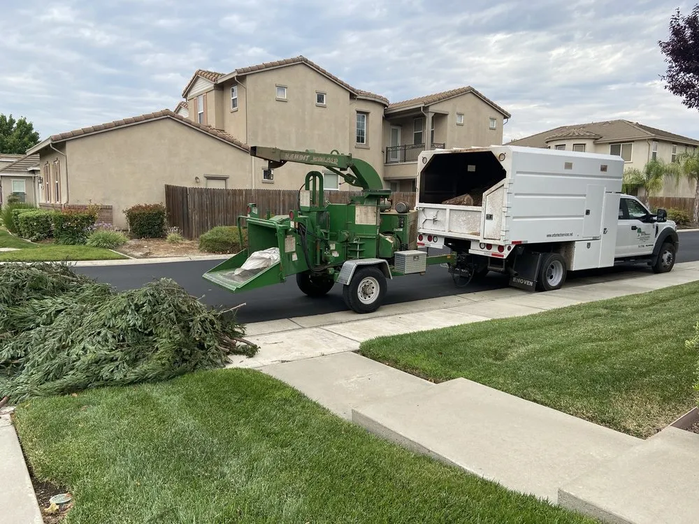 Expert lawn mowing service experts serving Elk Grove, CA - Arbor Tech Services