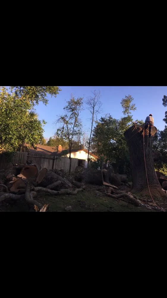 Professional landscaping services for residential properties in Elk Grove, CA by Arbor Tech Services