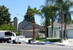 Local outdoor landscaping experts serving Elk Grove, CA - Arbor Tech Services