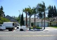 Expert yard maintenance in Elk Grove, CA by Arbor Tech Services
