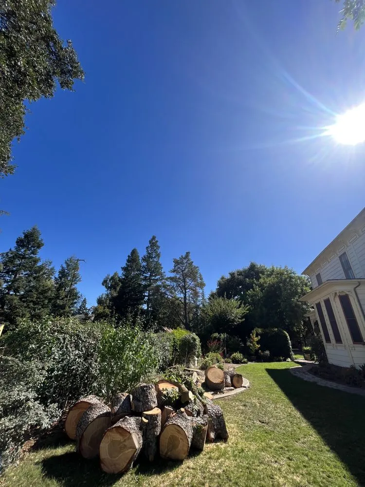 Top-rated landscape installation in Elk Grove, CA by Arbor Tech Services