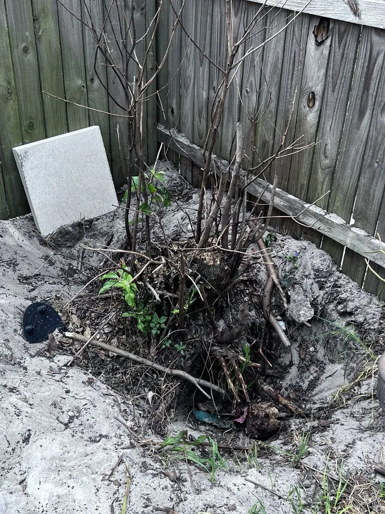 Trusted garden landscaping near you across Rockledge, FL - Arbor Tech Tree Service